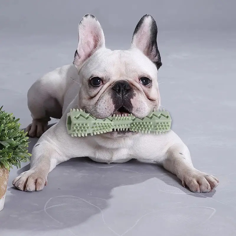 Hondenborstel Duurzaam Hondenk - Indestructible Dog Chew Toy recensie en prijs