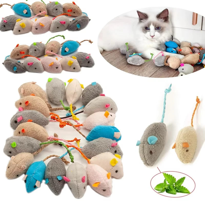 5pcs Rammelaar Kat Muis Speelg - Catnip Interactive Plush Mouse recensie en prijs