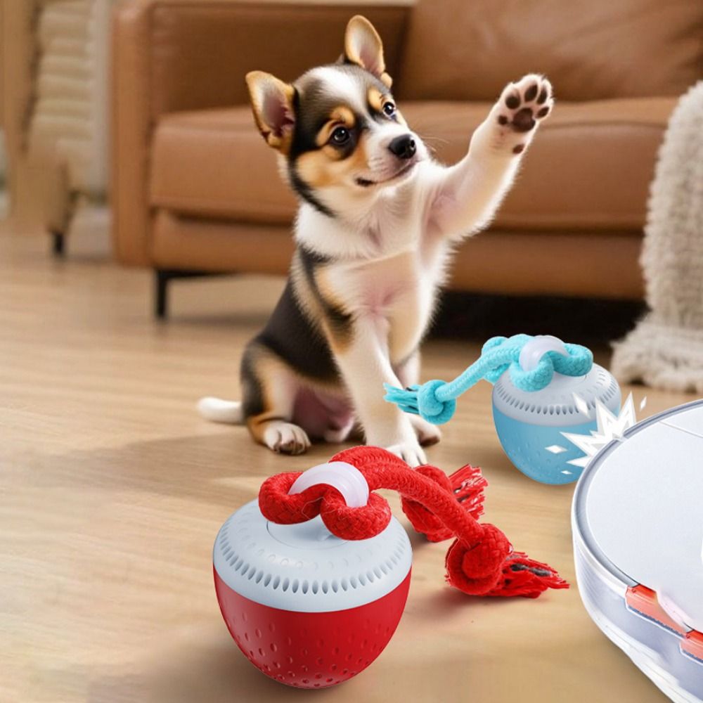 Bijtbestendige slimme hondensp - Automatic Moving Dog Ball recensie en prijs