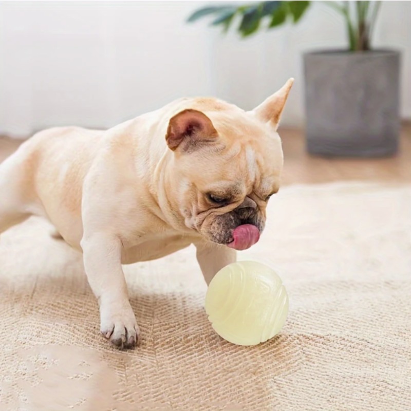 Glow-in-the-Dark rubberen hond - Interactive Squeaky Plush Dog Toy recensie en prijs