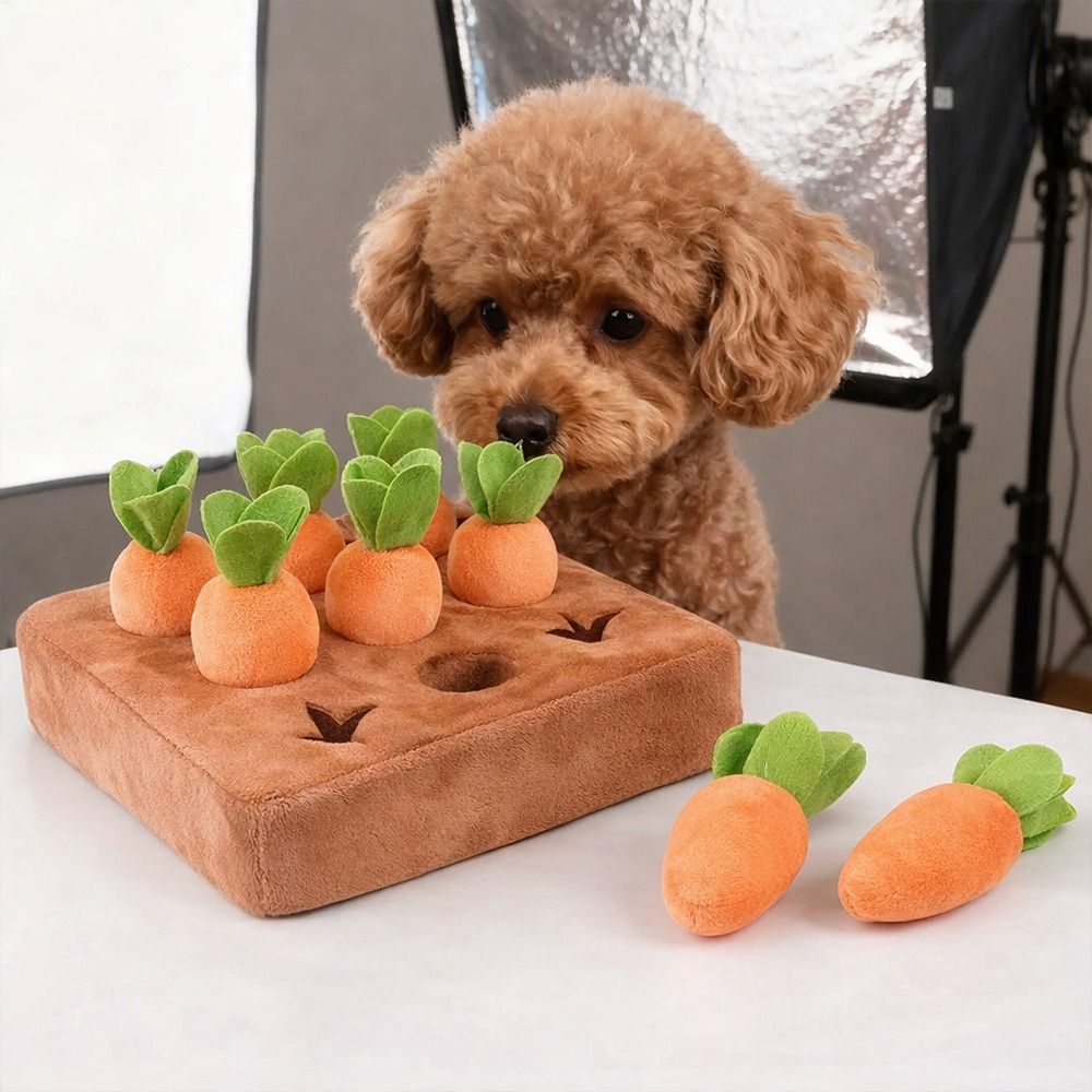 Stressverlichtende Wortel Snuf - Snuffle Mat For Dogs recensie en prijs