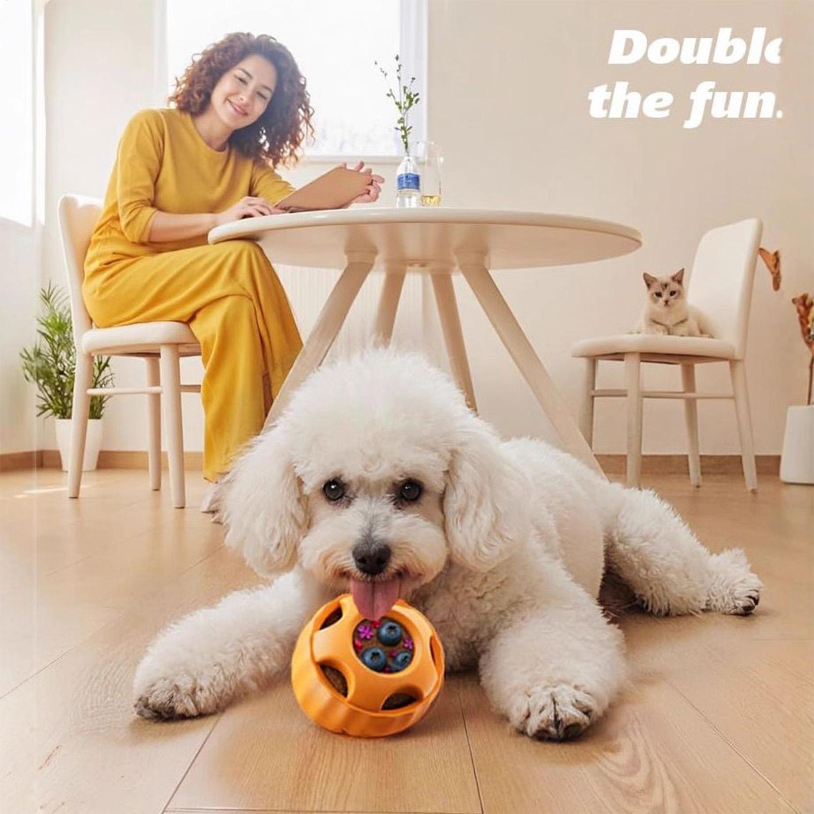 Traktatie Doseren Hondenspeelg - Dog Puzzle Feeder Toy recensie en prijs