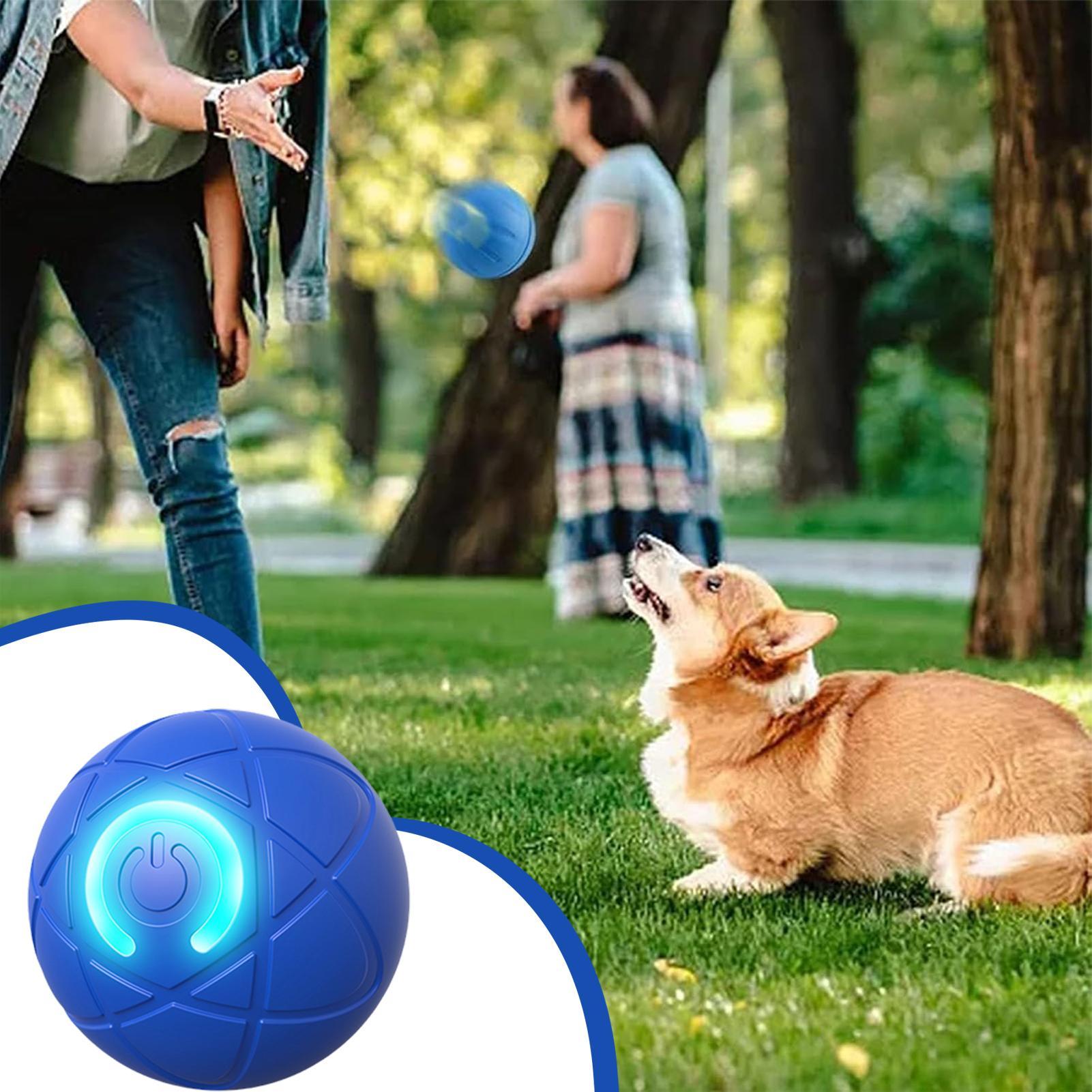 Slimme interactieve hondenspee - Automatic Moving Dog Ball recensie en prijs