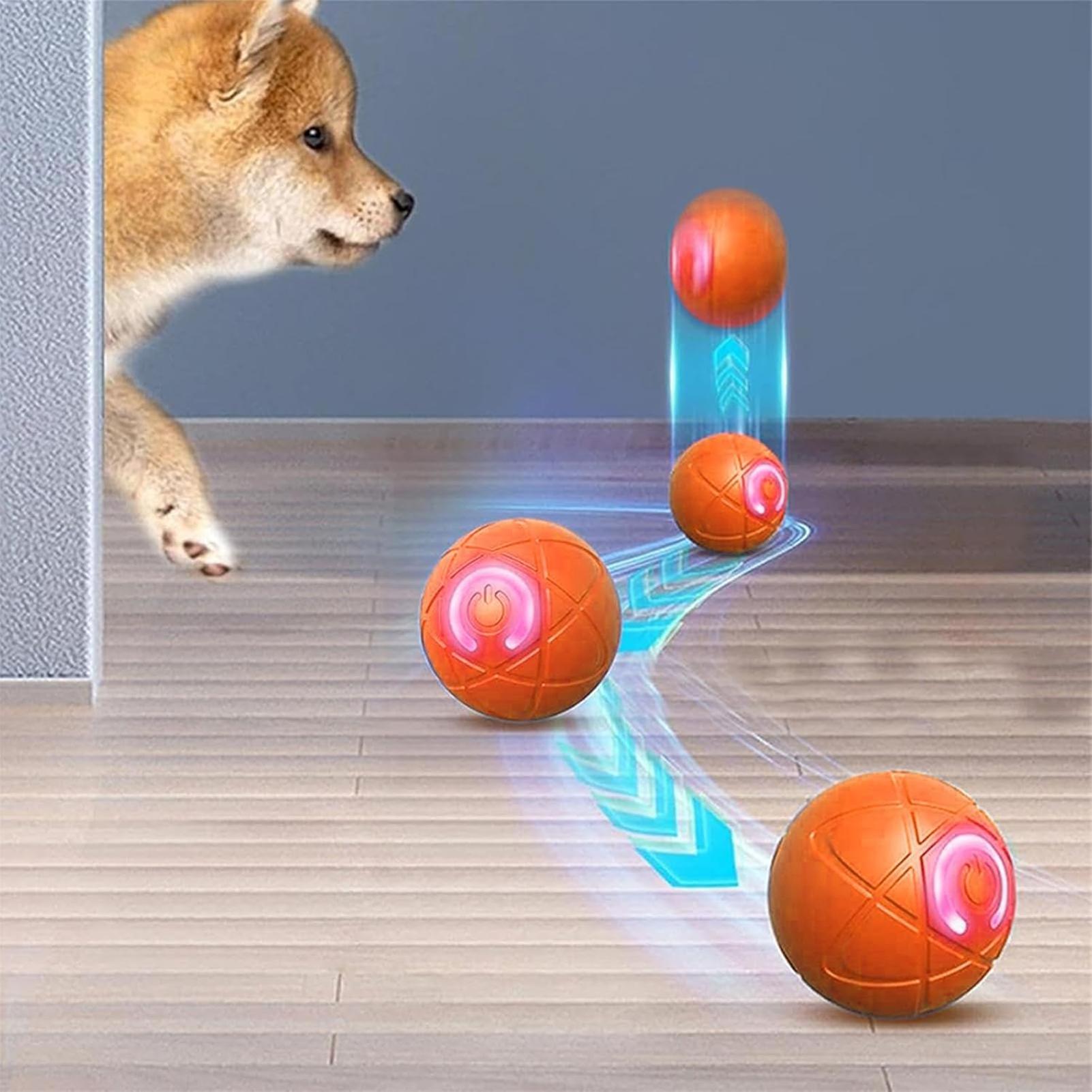 Slimme interactieve hondenspee - Automatic Moving Dog Ball recensie en prijs