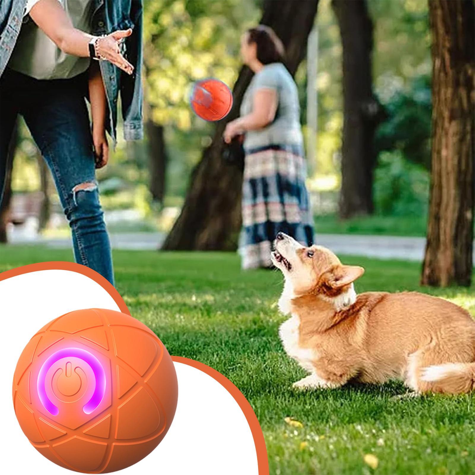 Slimme interactieve hondenspee - Automatic Moving Dog Ball recensie en prijs