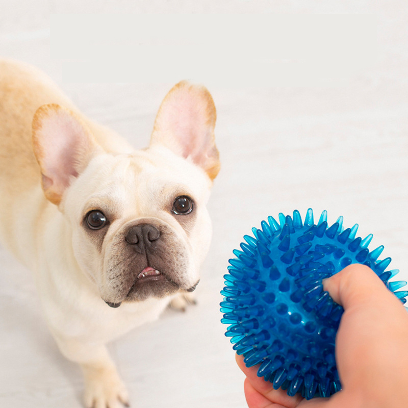 Hoge Elasticiteit Franse Bulld - Interactive Squeaky Plush Dog Toy recensie en prijs