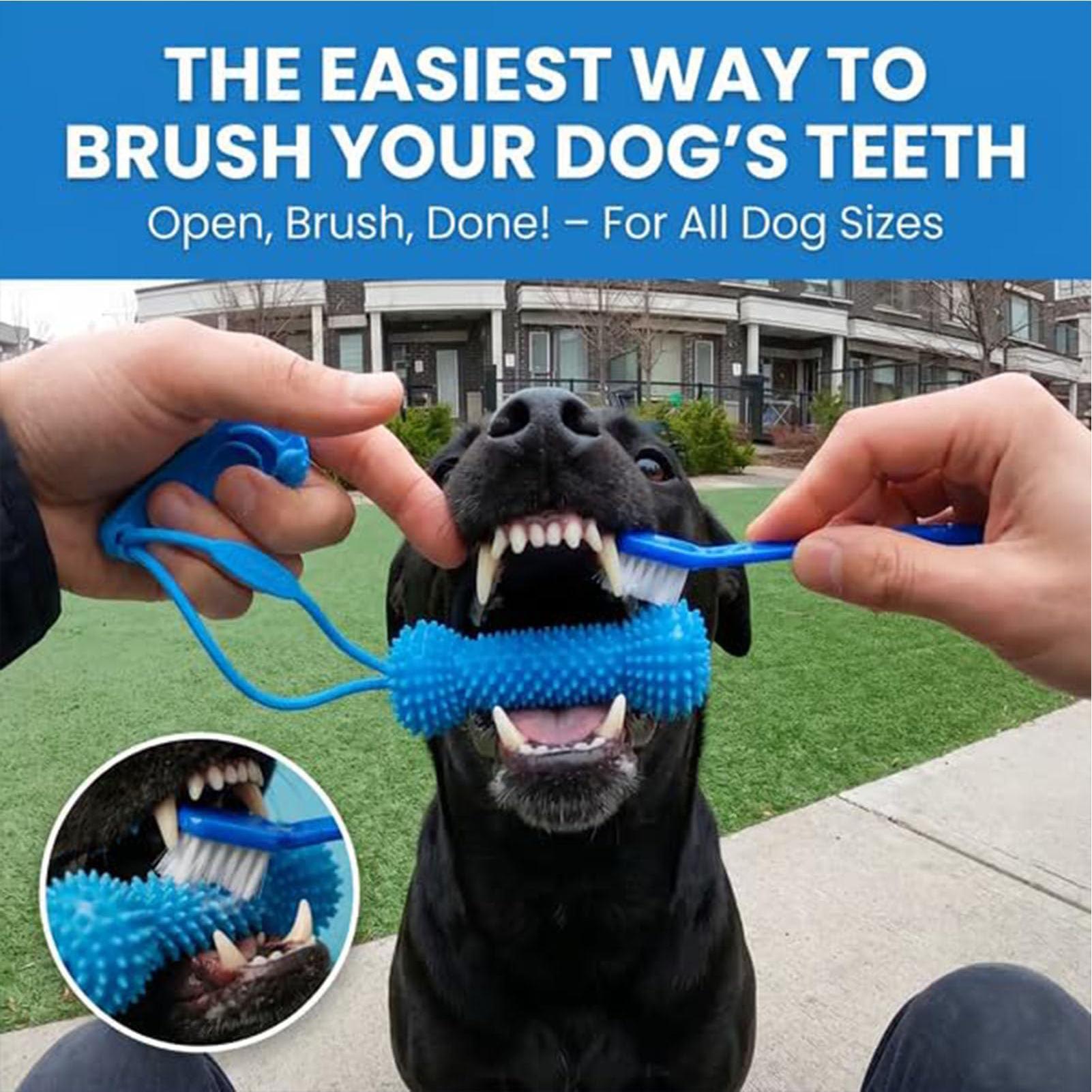 Hondentanden speelgoed kauwsto - Interactive Squeaky Plush Dog Toy recensie en prijs