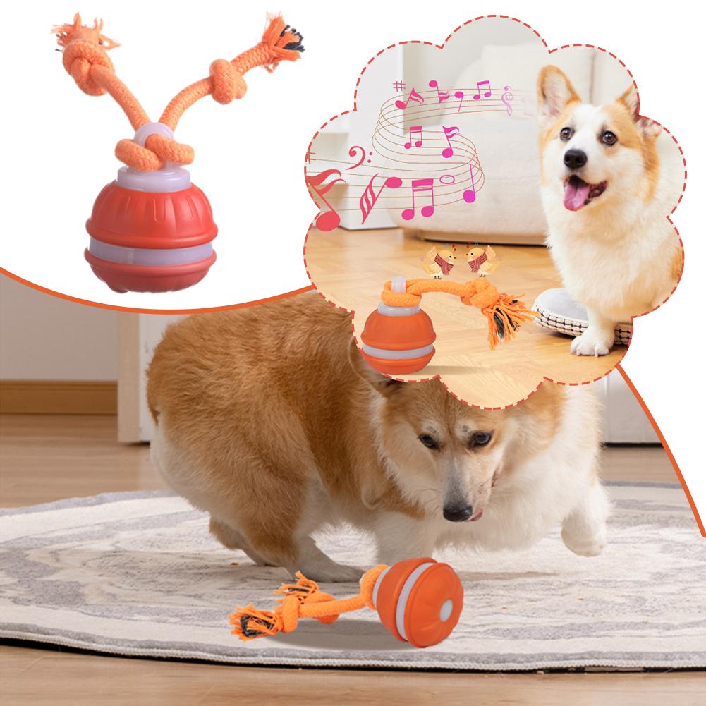 Slimme oplaadbare hondenbal In - Automatic Moving Dog Ball recensie en prijs