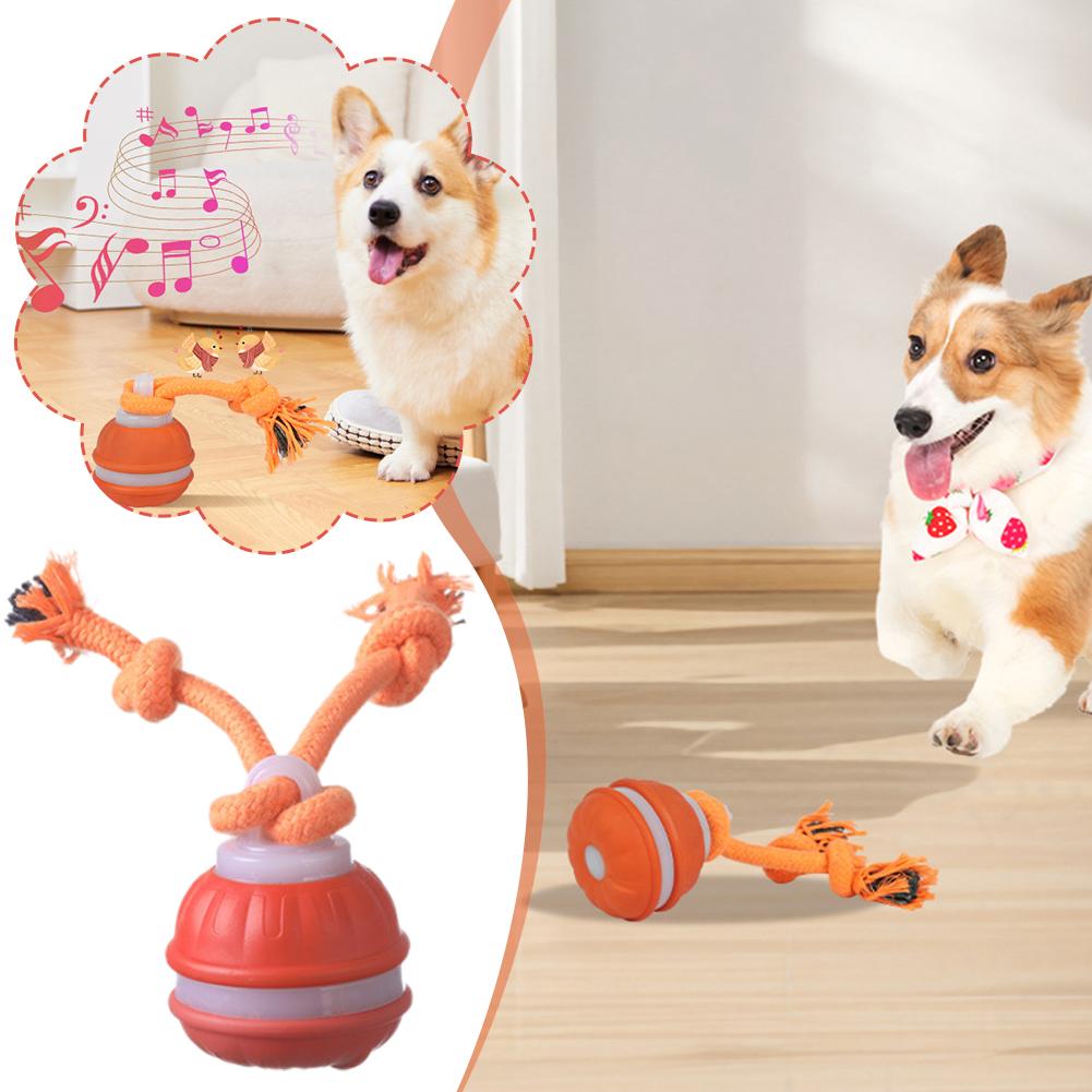 Slimme oplaadbare hondenbal In - Automatic Moving Dog Ball recensie en prijs