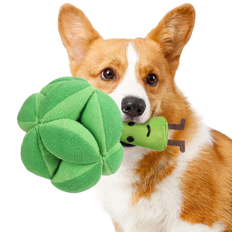 Snuffelbroccoli Hondenpuzzelsp - Dog Puzzle Feeder Toy recensie en prijs