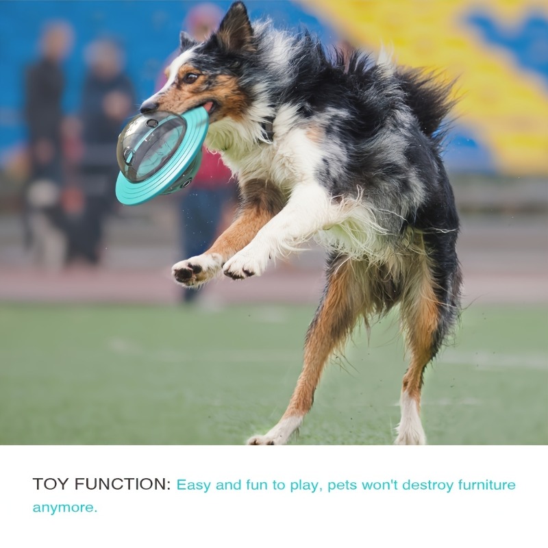 Interactief ontwerp Hondenbals - Dog Puzzle Feeder Toy recensie en prijs