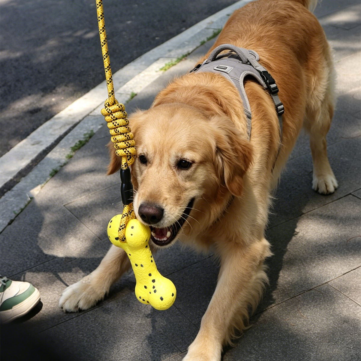 Zware honden-trekkoord speeltj - Dog Rope Toy Aggressive Chewers recensie en prijs