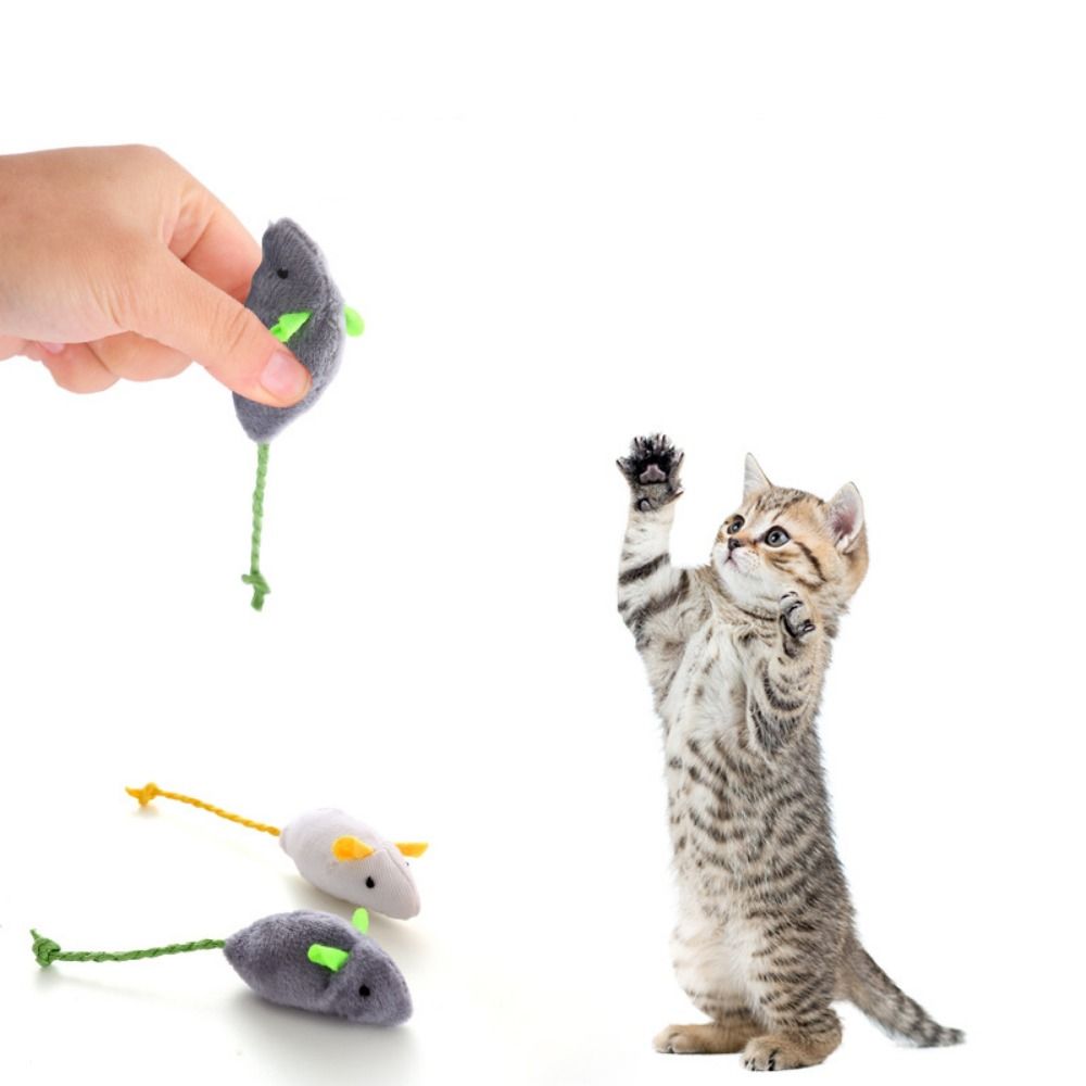 2 stuks grappige pluche zachte - Catnip Interactive Plush Mouse recensie en prijs
