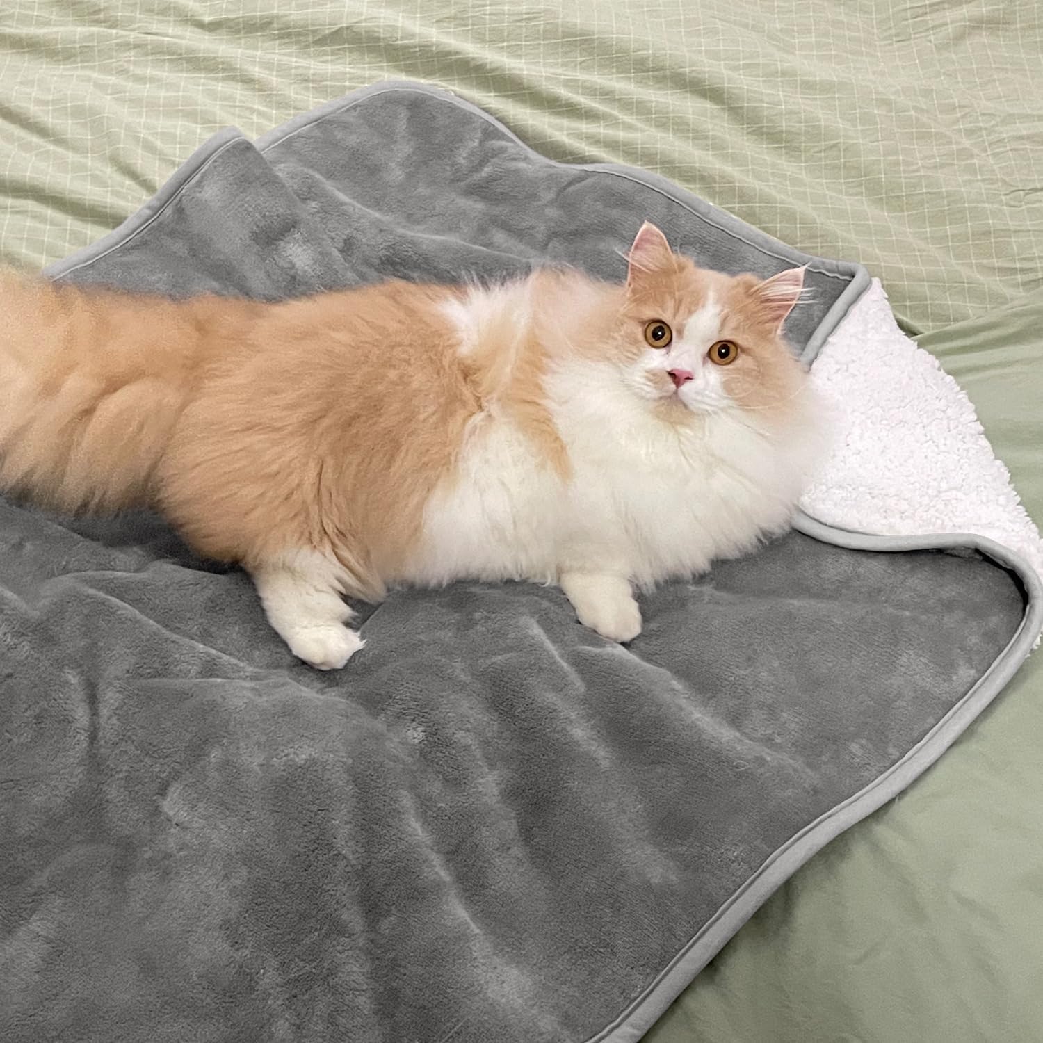 Effenkleurige huisdierendeken, - Pet Beds recensie en prijs