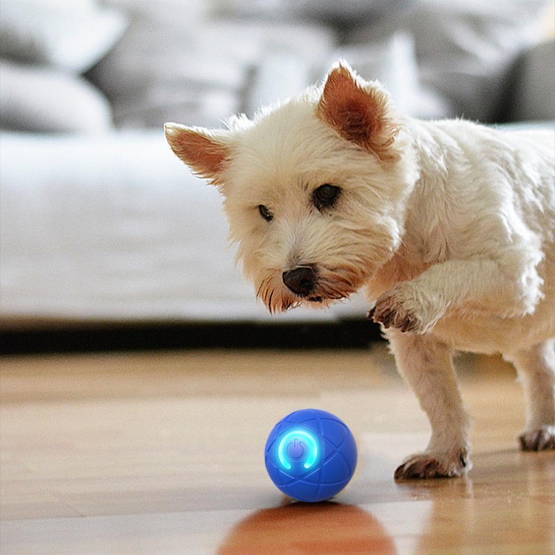 Slimme hondenspeelgoedbal USB  - Suction Cup Dog Tug Toy recensie en prijs