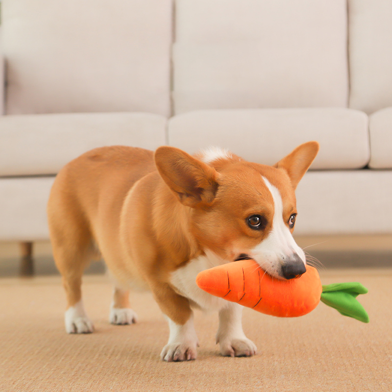 HOOPET Hondenspeelgoed Huisdie - Indestructible Dog Chew Toy recensie en prijs