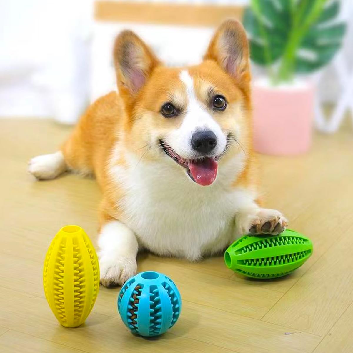 Kauwspeelgoed voor honden Tand - Indestructible Dog Chew Toy recensie en prijs