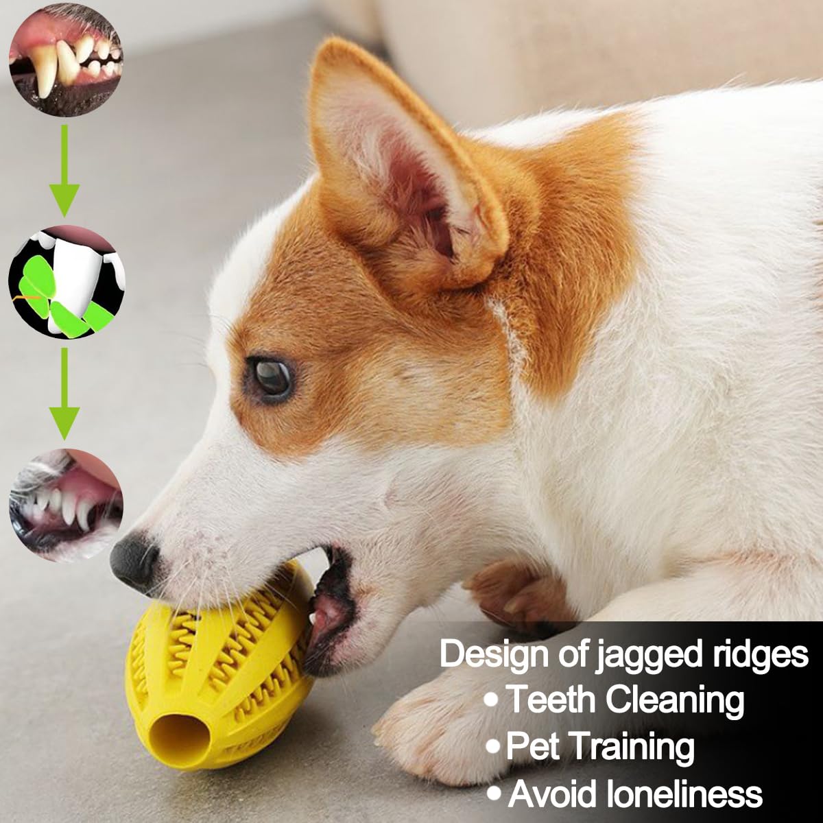 Kauwspeelgoed voor honden Tand - Indestructible Dog Chew Toy recensie en prijs