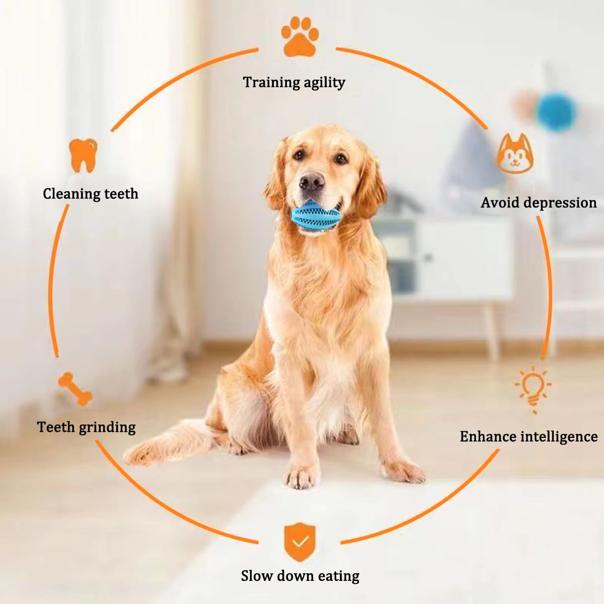 Kauwspeelgoed voor honden Tand - Indestructible Dog Chew Toy recensie en prijs