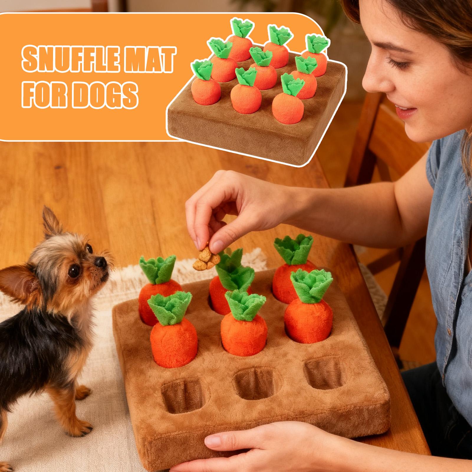 Interactief wortelspeelgoed vo - Snuffle Mat For Dogs recensie en prijs