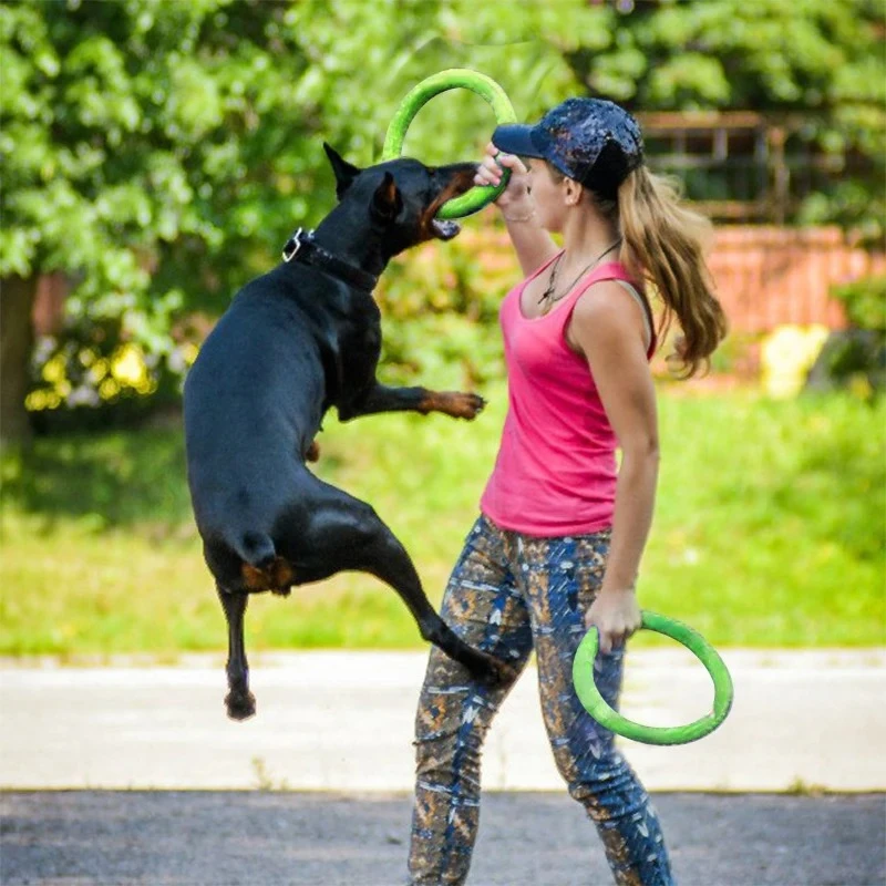 Honden Speelgoed Huisdier Vlie - Suction Cup Dog Tug Toy recensie en prijs