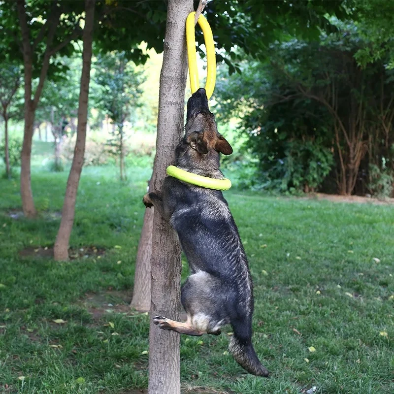 Hondenspeelgoed Vliegende schi - Flying Disc Dog Training Toy recensie en prijs