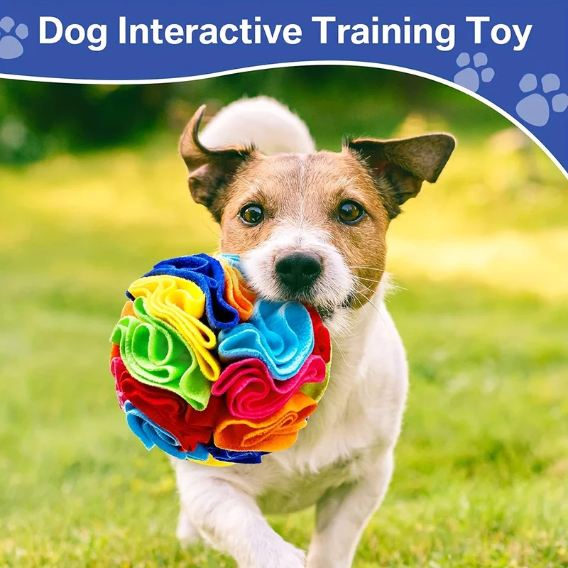 Interactieve hondenspeeltjes S - Snuffle Mat For Dogs recensie en prijs
