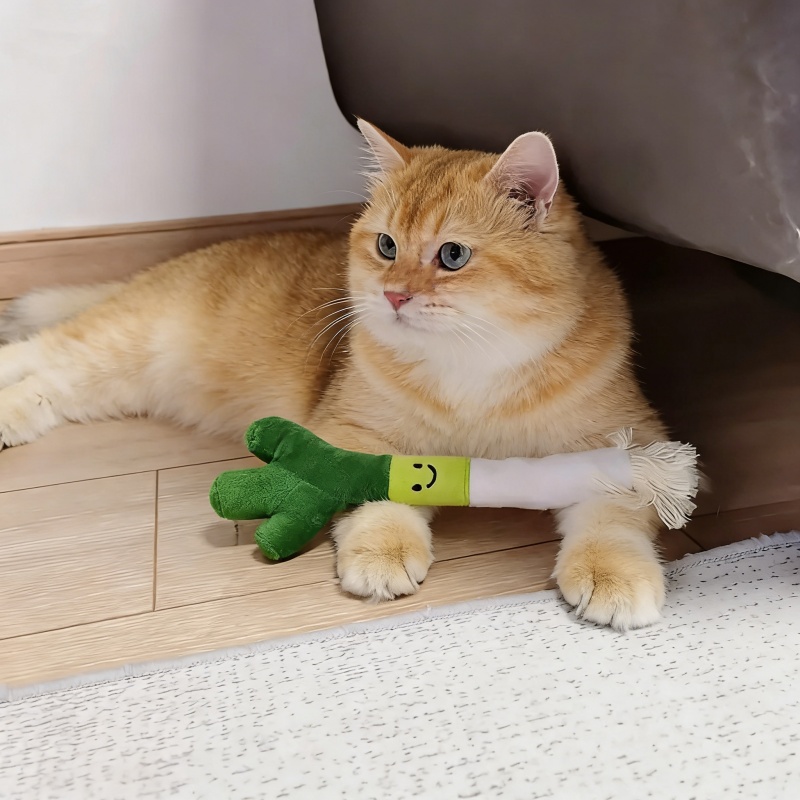 Schattig pluizig knuffelspeelt - Snuffle Mat For Dogs recensie en prijs