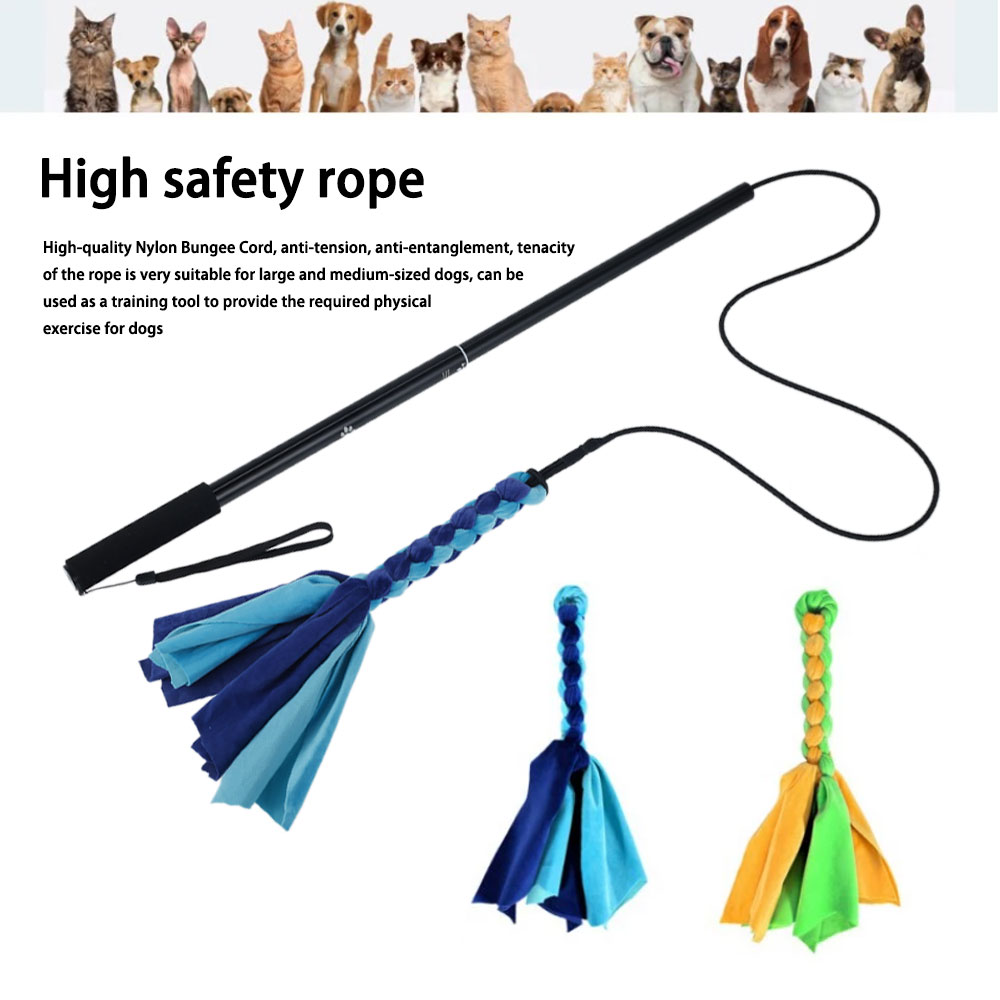 Intrekbare Hond Stok Interacti - Interactive Squeaky Plush Dog Toy recensie en prijs