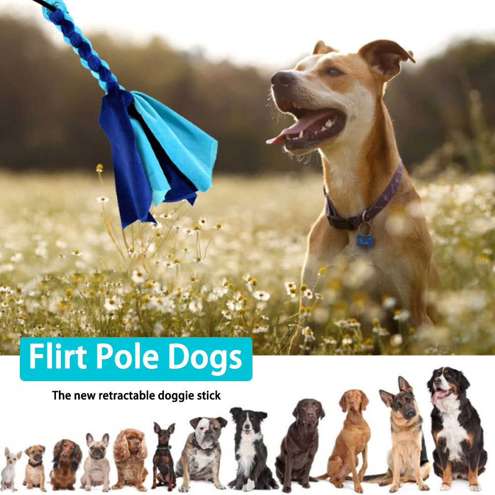 Intrekbare Hond Stok Interacti - Interactive Squeaky Plush Dog Toy recensie en prijs