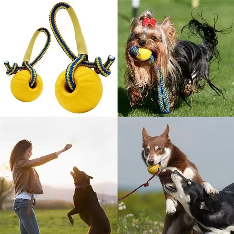1 stuk onverwoestbare bijt- en - Indestructible Dog Chew Toy recensie en prijs