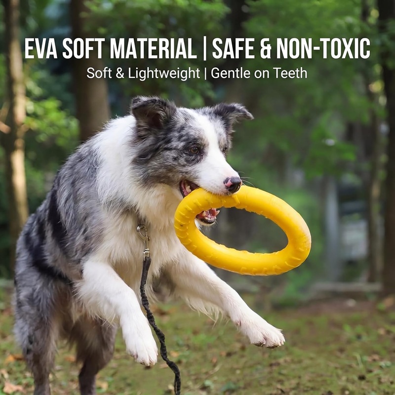 Hondenspeelgoed, vliegende sch - Suction Cup Dog Tug Toy recensie en prijs