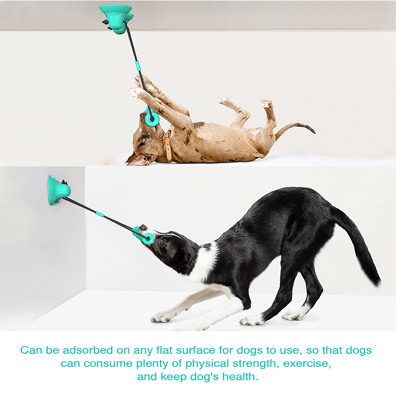 Dubbele Zuignap Hondenspeelgoe - Suction Cup Dog Tug Toy recensie en prijs
