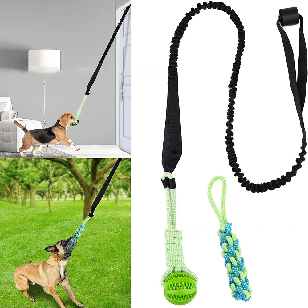 Interactief hondenspeelgoed Sl - Suction Cup Dog Tug Toy recensie en prijs