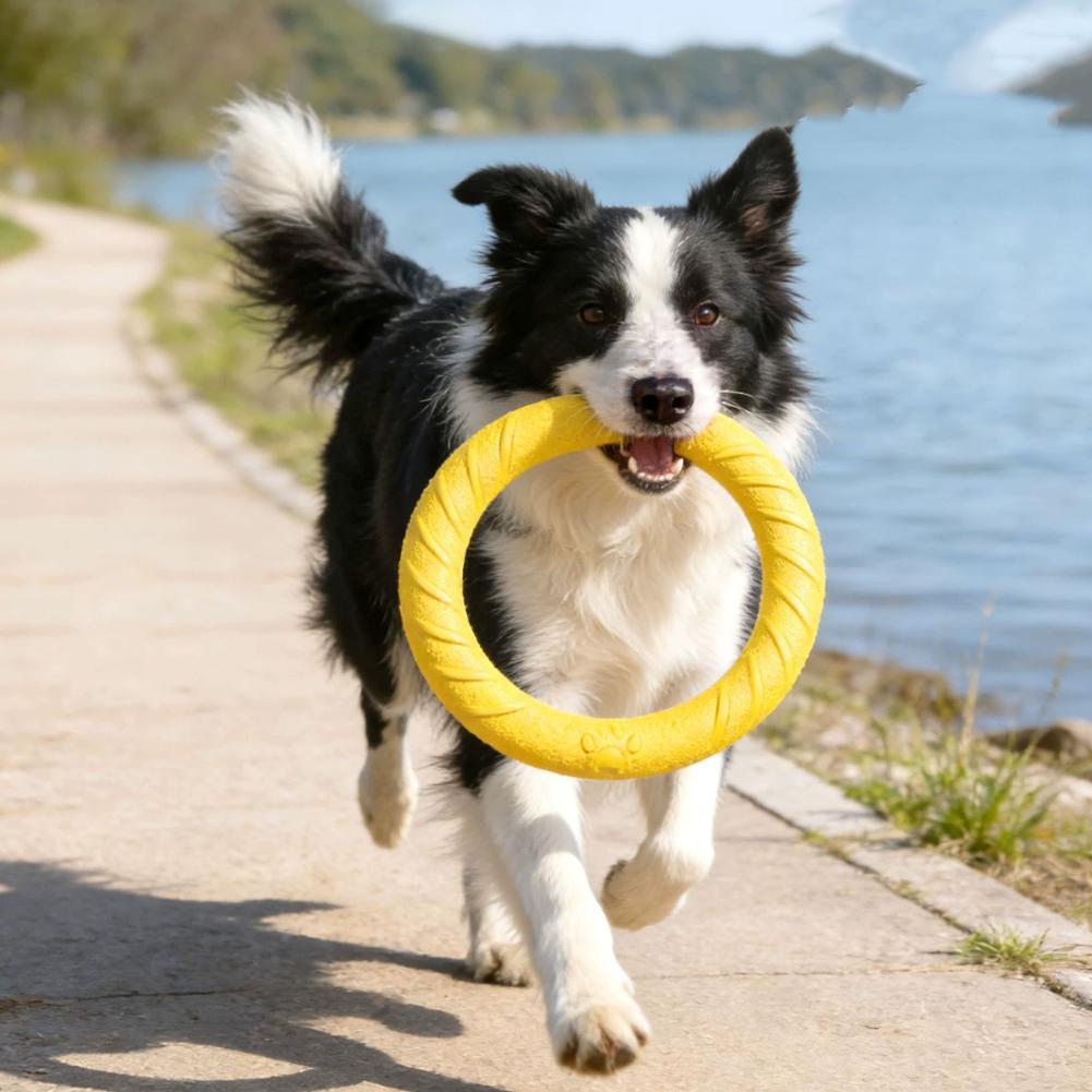 Hondenring Speelgoed Onverwoes - Indestructible Dog Chew Toy recensie en prijs