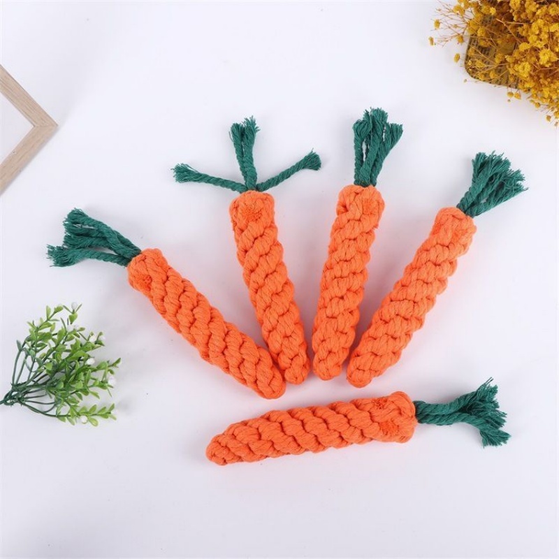Wortelvormig kauwspeeltje voor - Interactive Squeaky Plush Dog Toy recensie en prijs