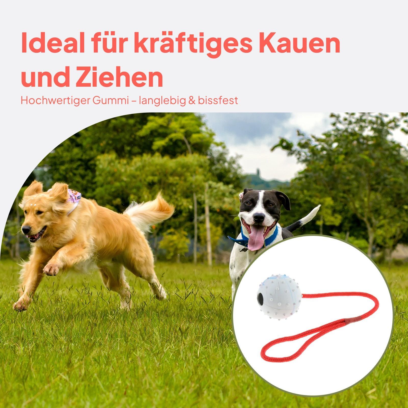Hondenspeelgoed van zacht rubb - Rubber Treat Dispensing Dog Toy recensie en prijs